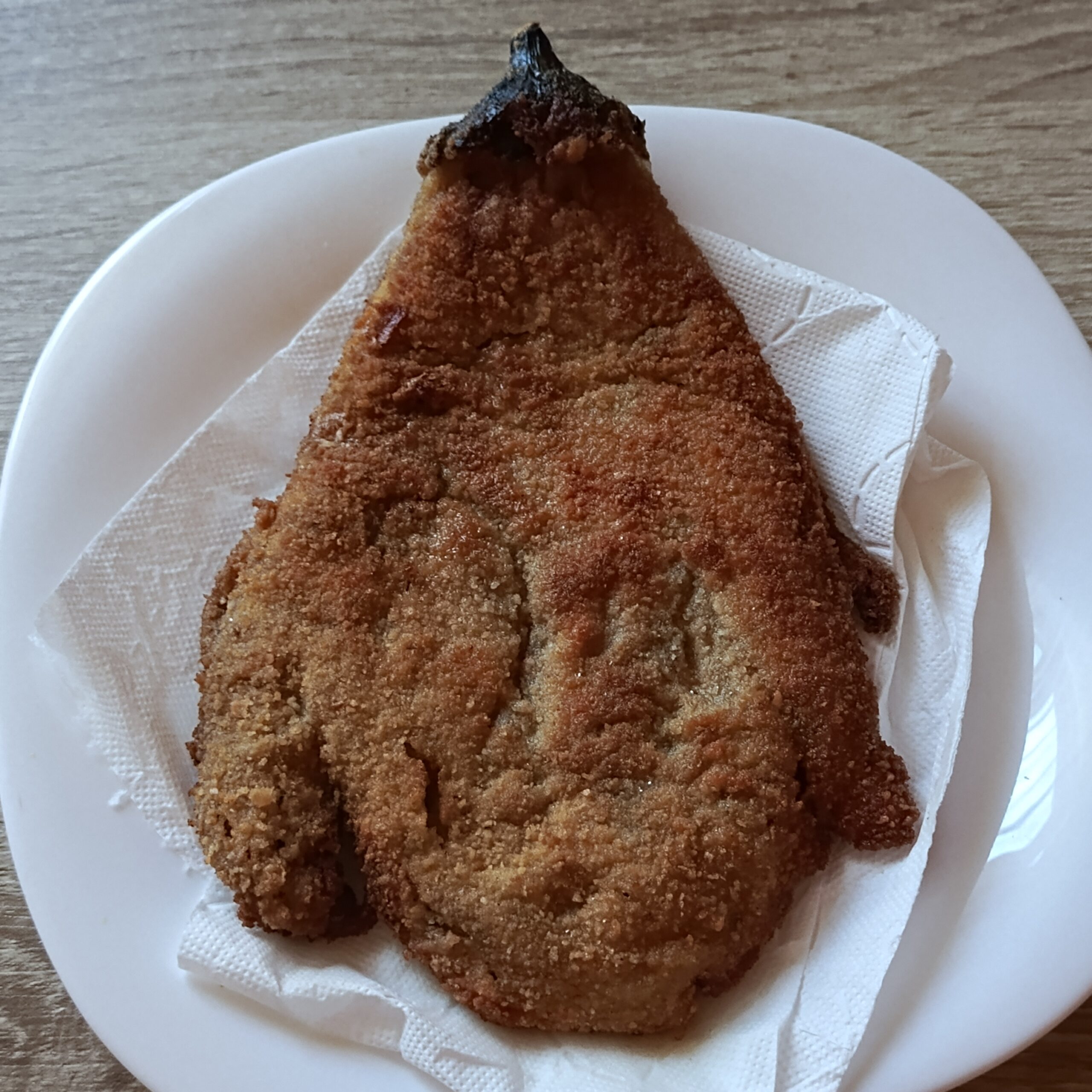 IMG 20250319 122938 402 scaled