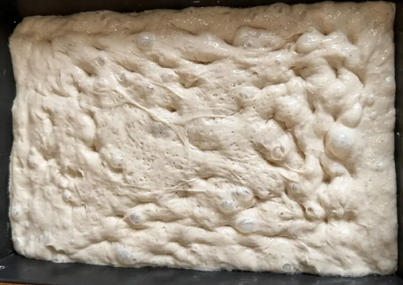 ciasto na pizze detroit style pizza detroit przepis